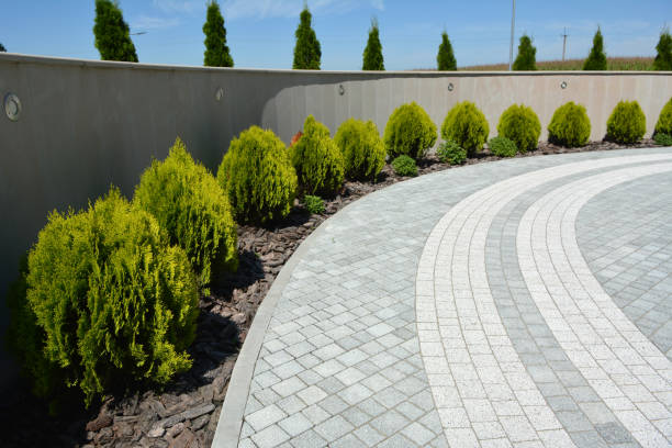 Best Concrete Paver Driveway  in Springdale, AR