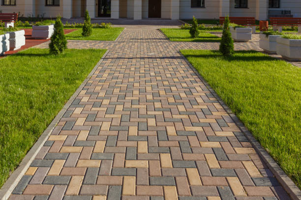Best Driveway Repair Near Me  in Springdale, AR